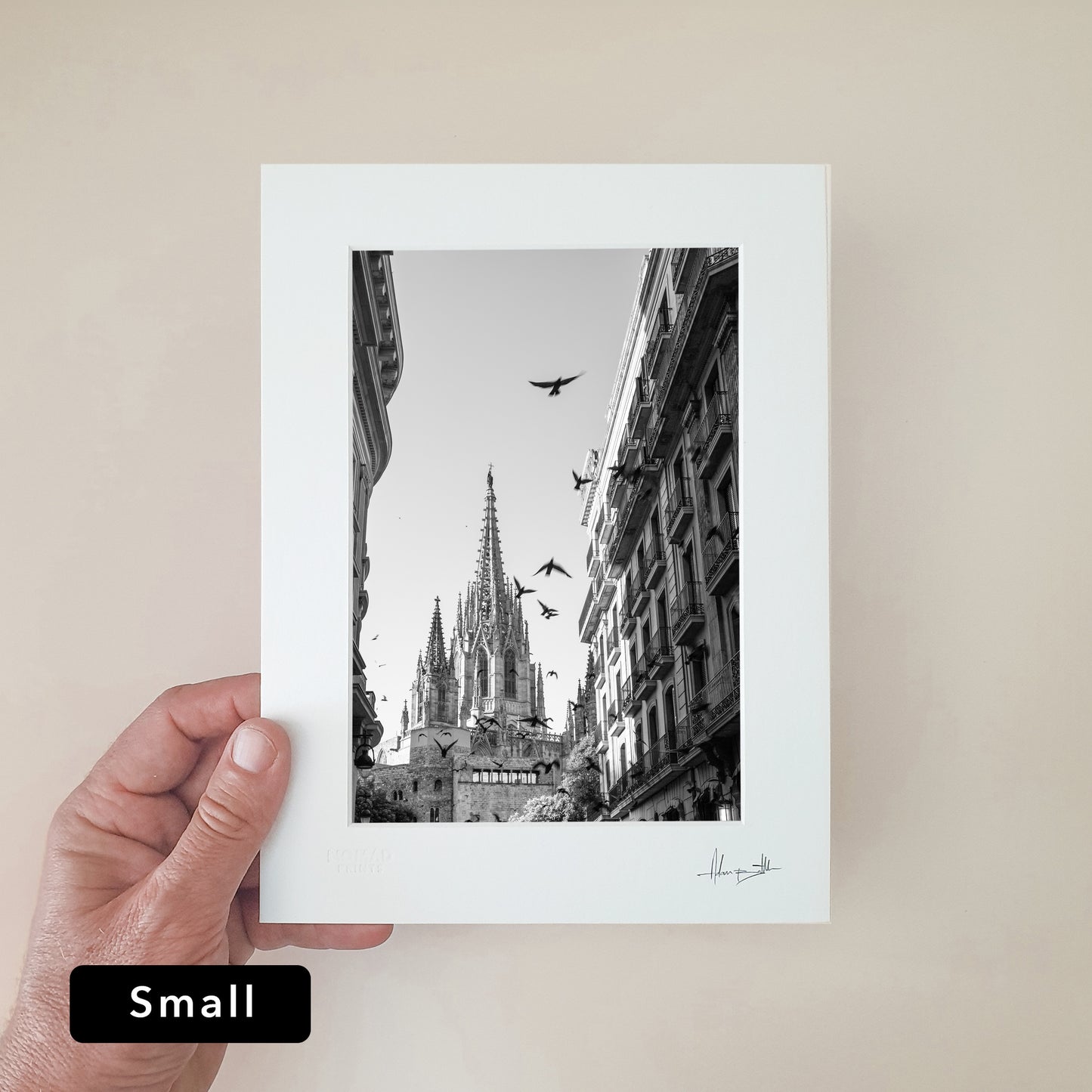 Barcelona Cathedral Print | Spain