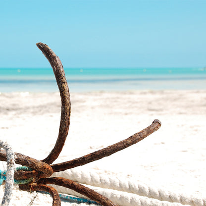 Holbox Anchor Print | Mexico