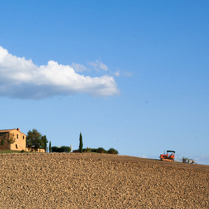 The Farm on the Hill Print | Italy