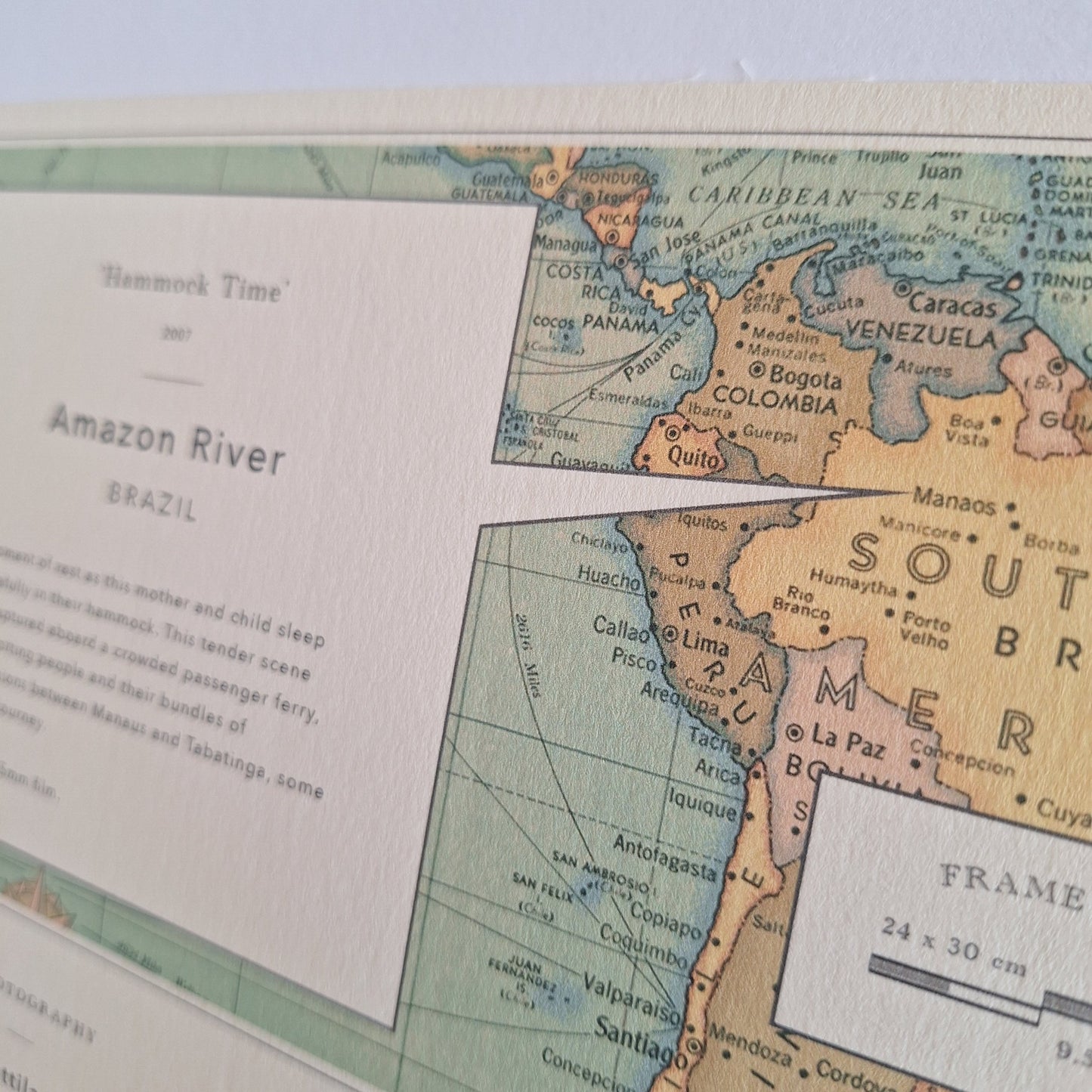NP087-back.jpg