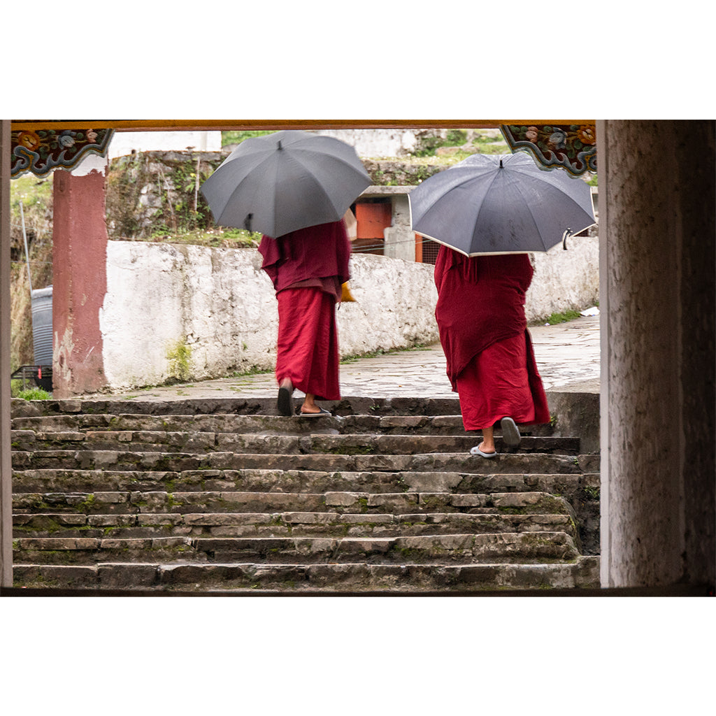 Library Print | India