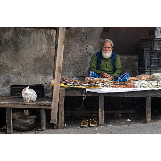 Catstand Print | India