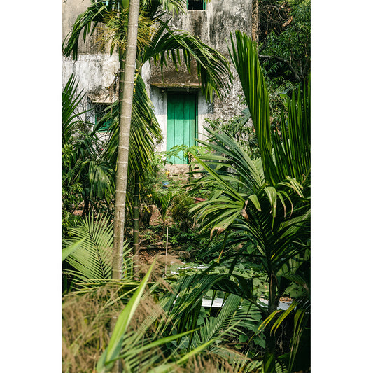 Green Door Print | India