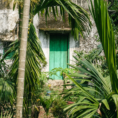 Green Door Print | India