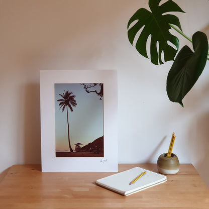 Rio de Janeiro Palm Tree Print | Brazil