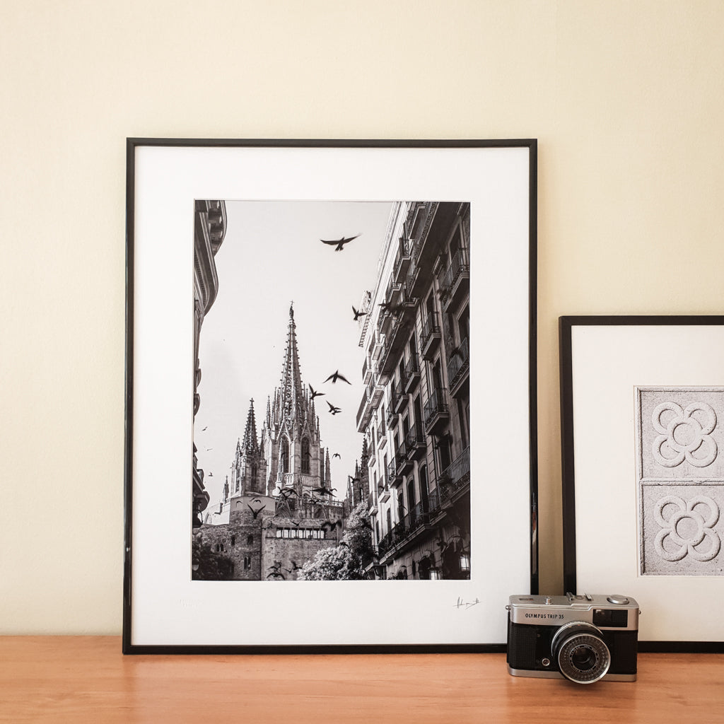 Barcelona Cathedral Print | Spain