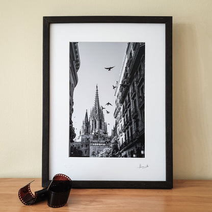 Barcelona Cathedral Print | Spain