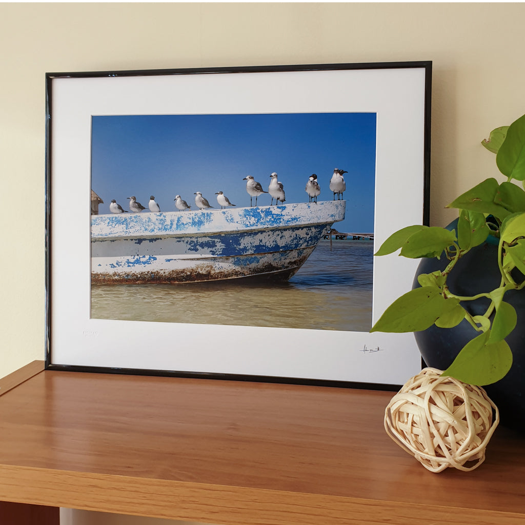 Holbox Seagulls Print | Mexico