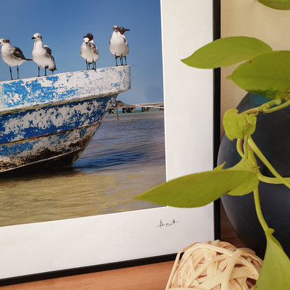 Holbox Seagulls Print | Mexico