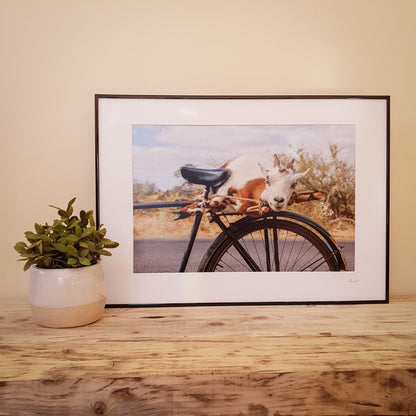 Goat on a Bicycle Print | Zambia