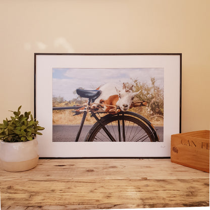 Goat on a Bicycle Print | Zambia