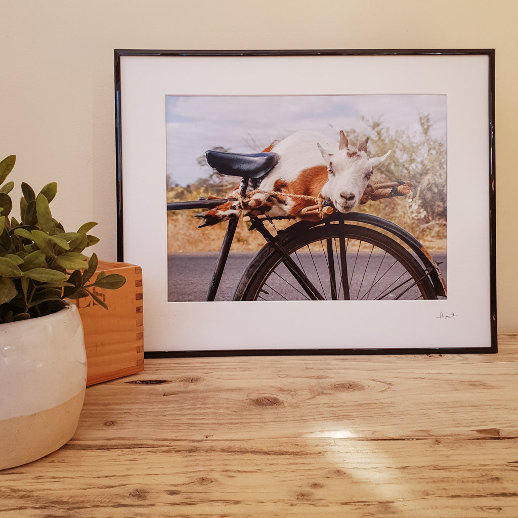 Goat on a Bicycle Print | Zambia