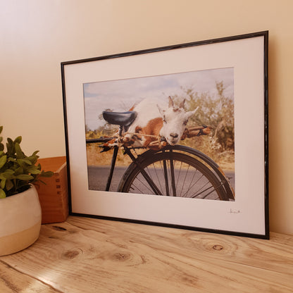 Goat on a Bicycle Print | Zambia