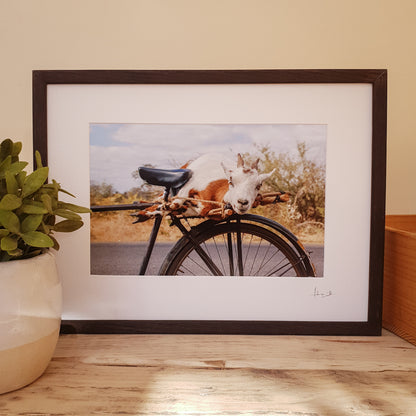 Goat on a Bicycle Print | Zambia