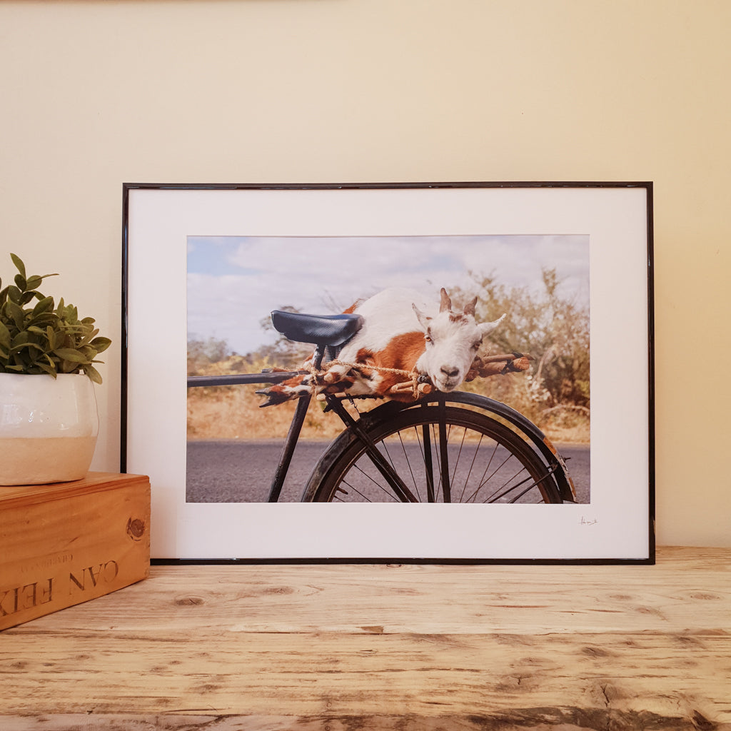 Goat on a Bicycle Print | Zambia