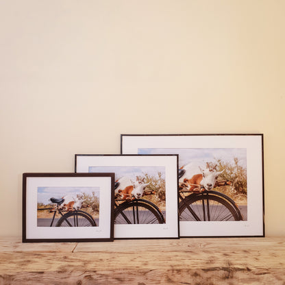 Goat on a Bicycle Print | Zambia