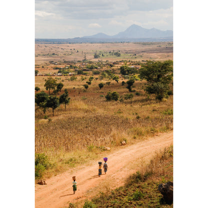 Green Hills of Africa Print | Malawi