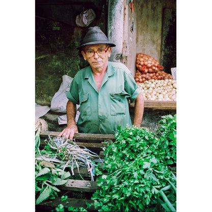 Greengrocer Print | Brazil