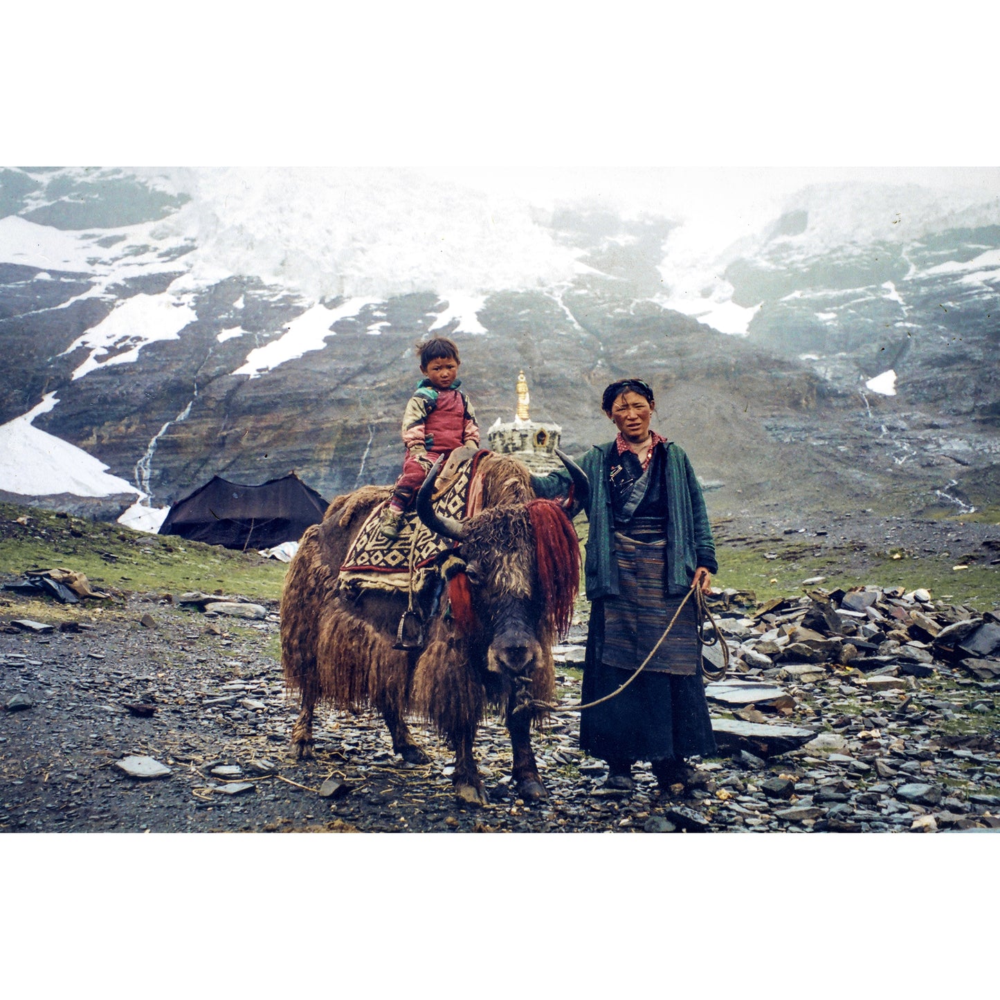 Nomadic Family with Yak Print | Tibet