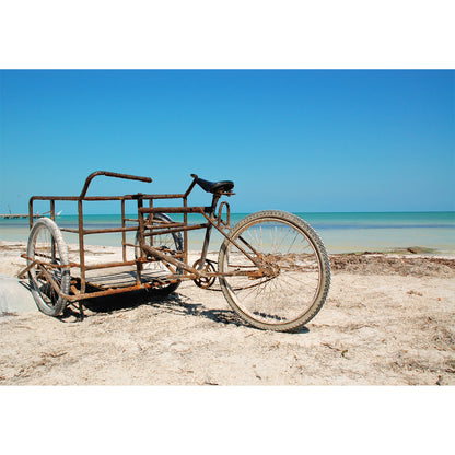 Holbox Beach Bike Print | Mexico