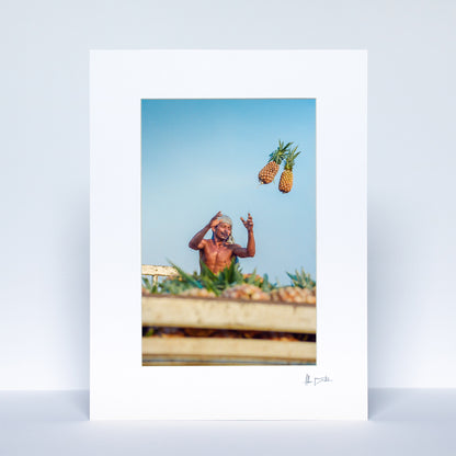 "Catch!" Pineapples Print | Brazil