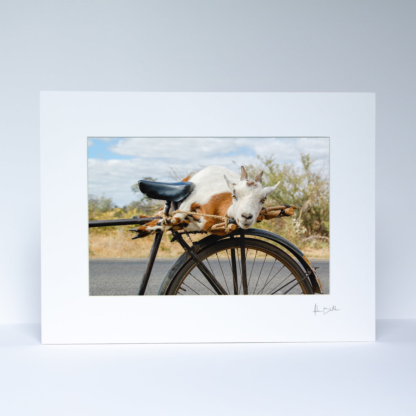 Goat on a Bicycle Print | Zambia