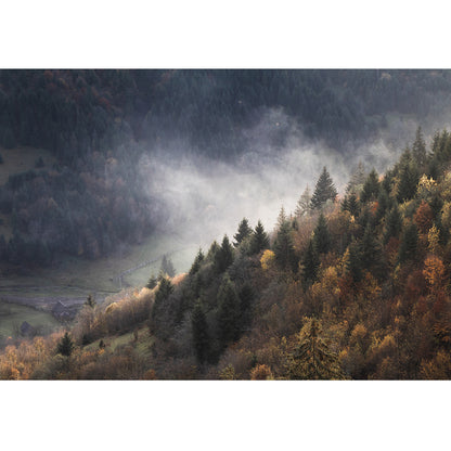 Carpathians Print | Ukraine