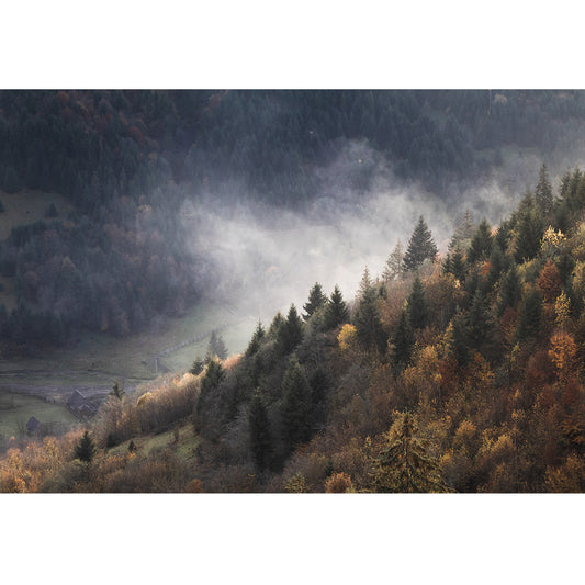 Carpathians Print | Ukraine