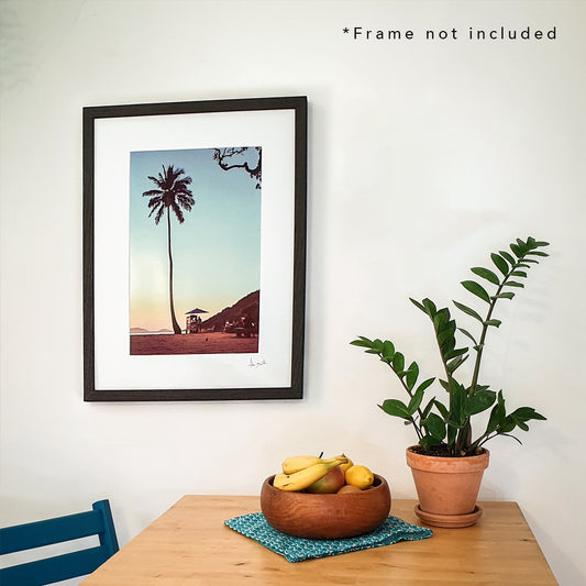 Rio de Janeiro Palm Tree Print | Brazil