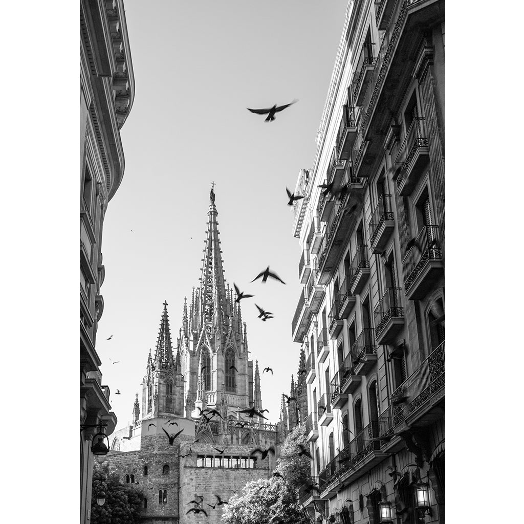 Barcelona Cathedral Print | Spain