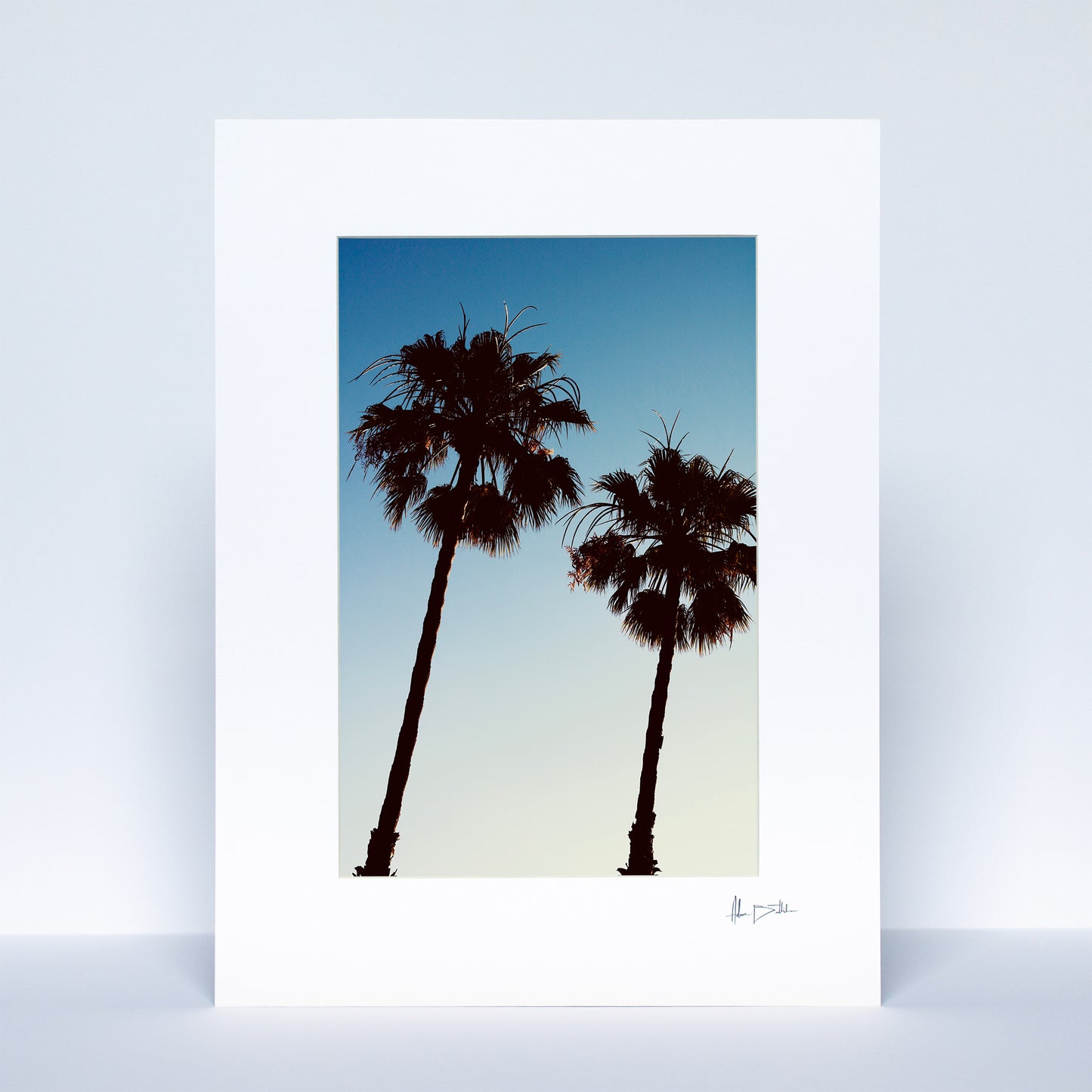 Barcelona Palms Print | Spain