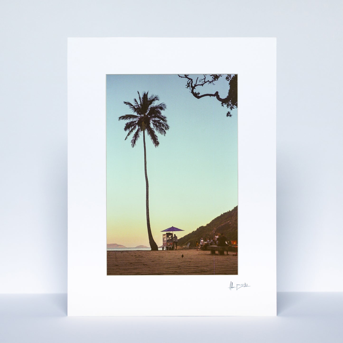 Rio de Janeiro Palm Tree Print | Brazil